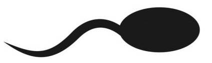 sperm logo
